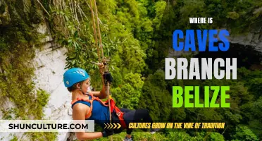 Caves Branch Belize: A Tropical Adventure