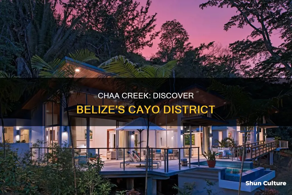 where is chaa creek located in belize