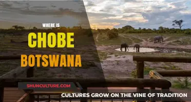 Discovering Chobe Botswana: Location, Wildlife, and Safari Adventures