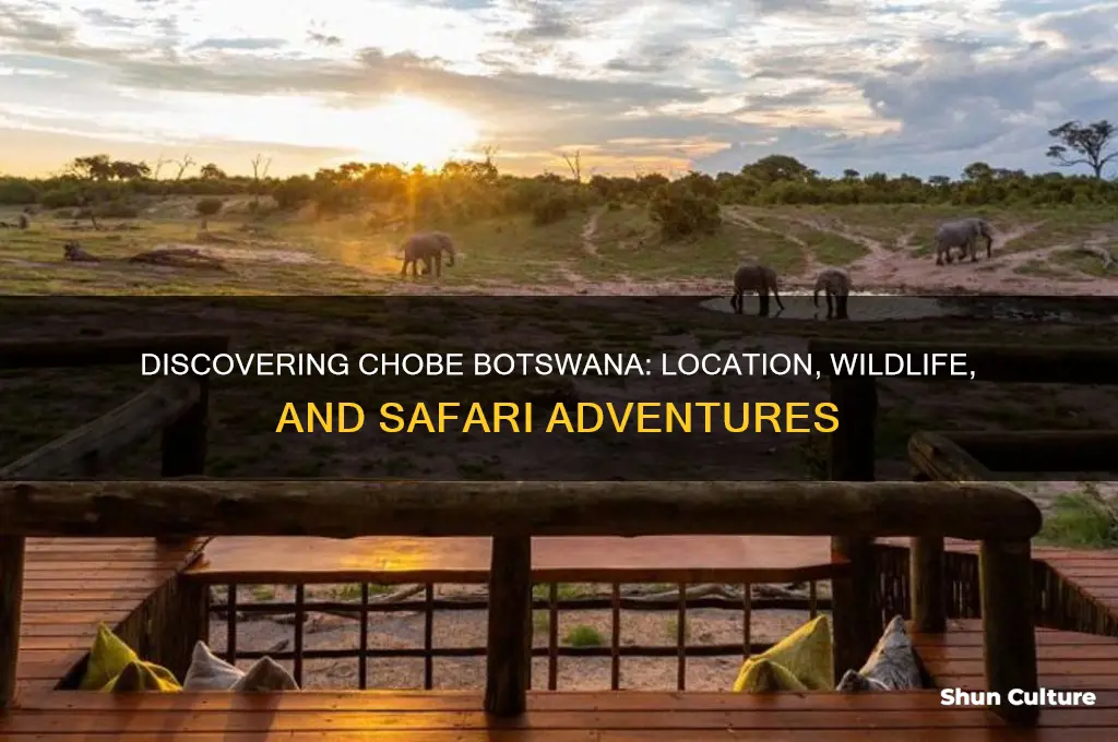 where is chobe botswana