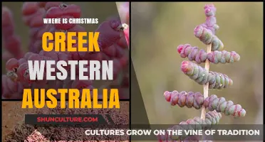 Christmas Creek: A Western Australia Gem