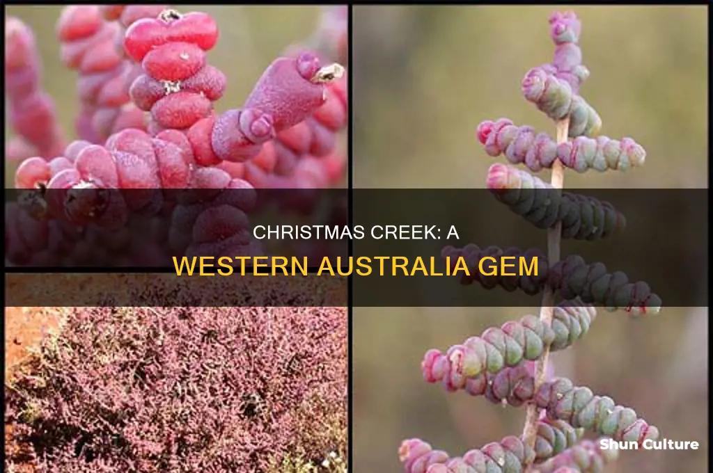 where is christmas creek western australia