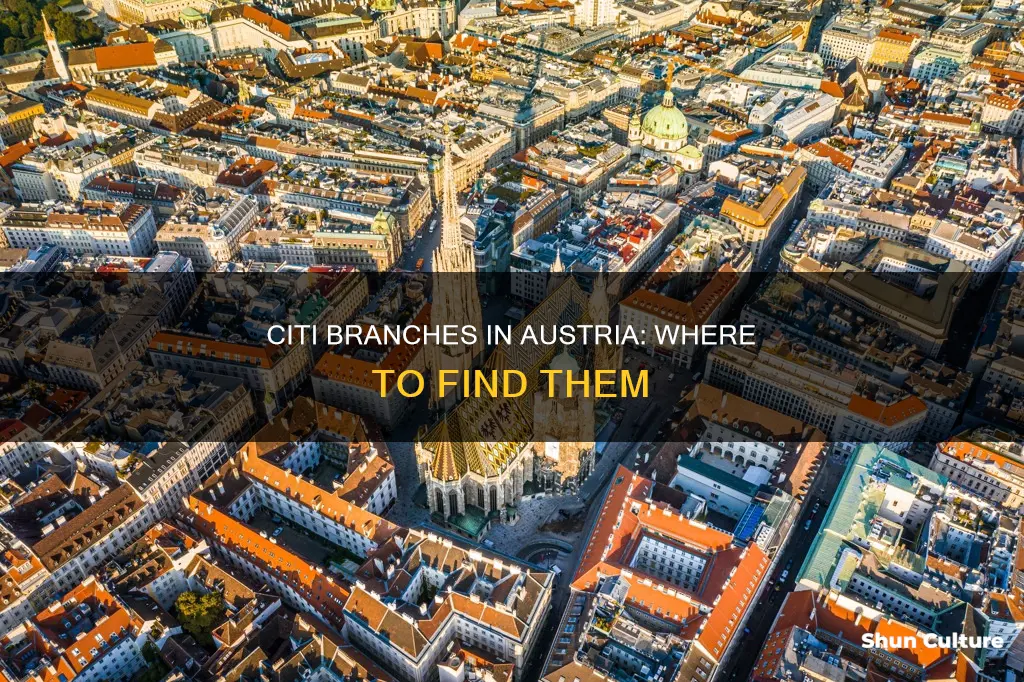 where is citibank in austria