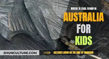 Where Coal Comes From in Australia