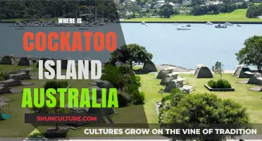 Cockatoo Island: Sydney's Historic Island Gem