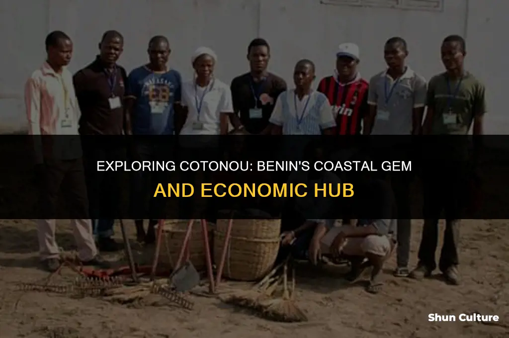 where is cotonou benin