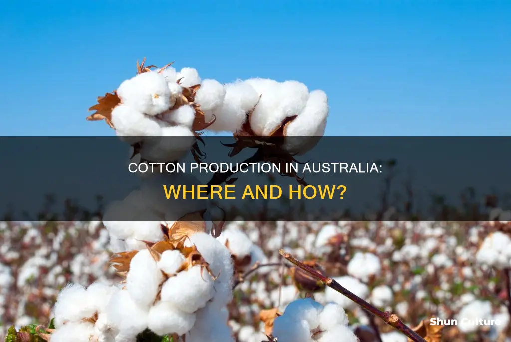where is cotton made in australia