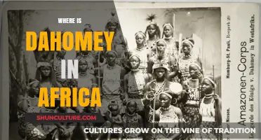Unveiling Dahomey: A Journey Through West Africa's Hidden Gem