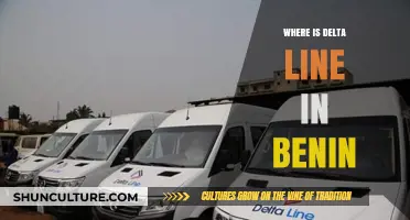 Exploring Benin: Unveiling the Mystery of the Delta Line