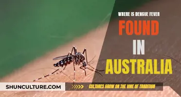 Dengue Fever: Where is it in Australia?