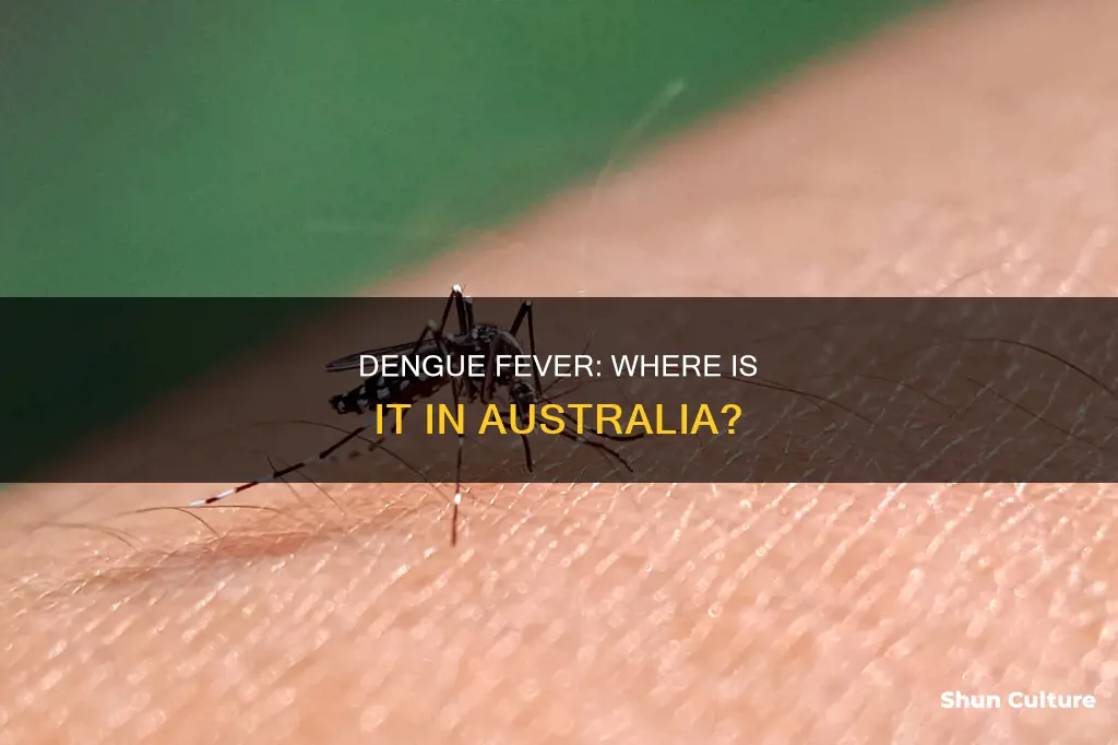 where is dengue fever found in australia