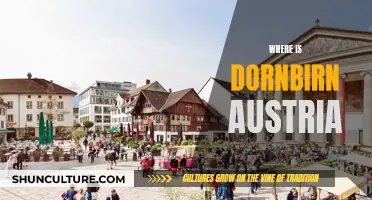 Exploring Dornbirn, Austria: A City of Surprises and Delights