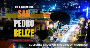 San Pedro's Downtown: A Tropical Paradise