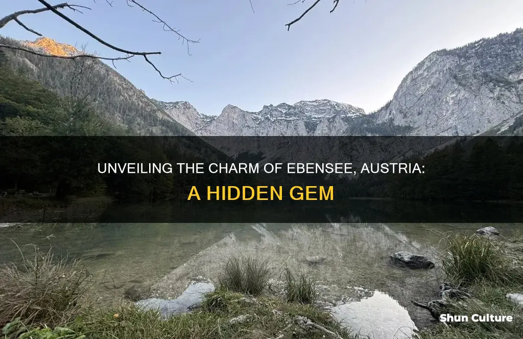 where is ebensee austria