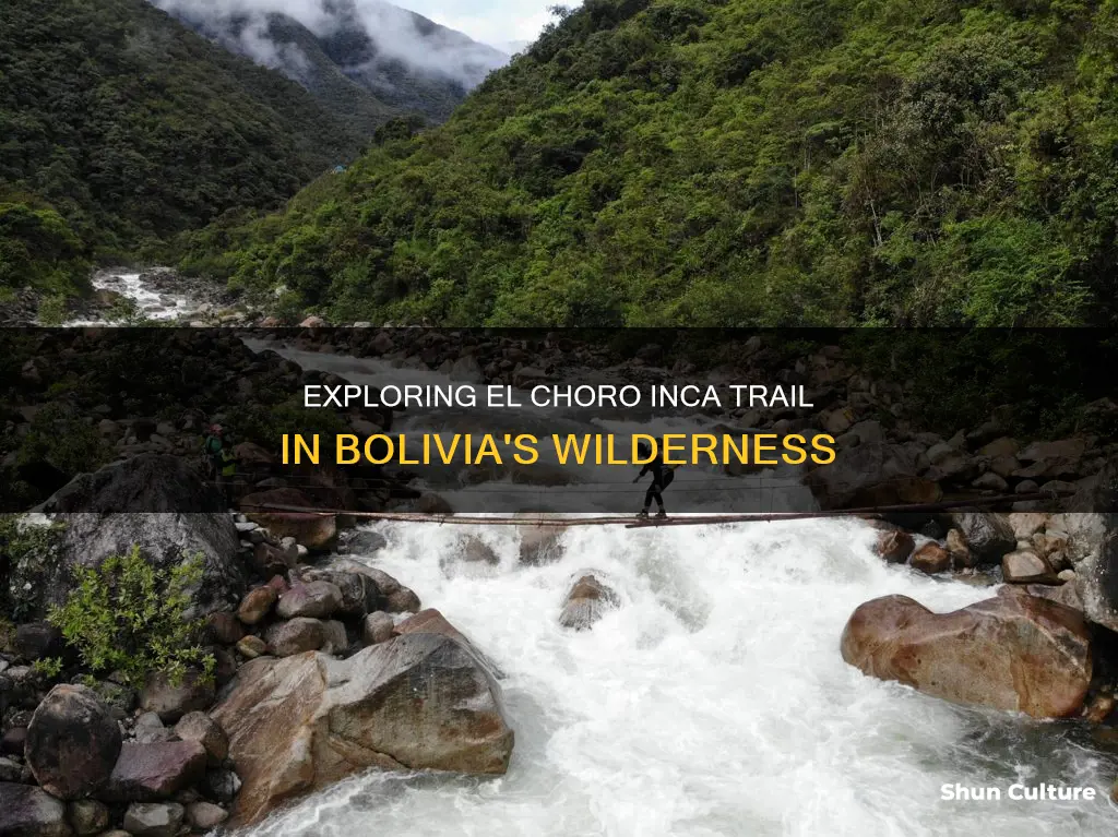 where is el choro inca trail in bolivia