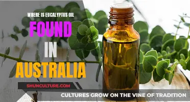 Eucalyptus Oil: Australia's Natural Remedy Source Regions