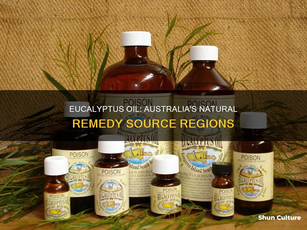 where is eucalyptus oil found in australia