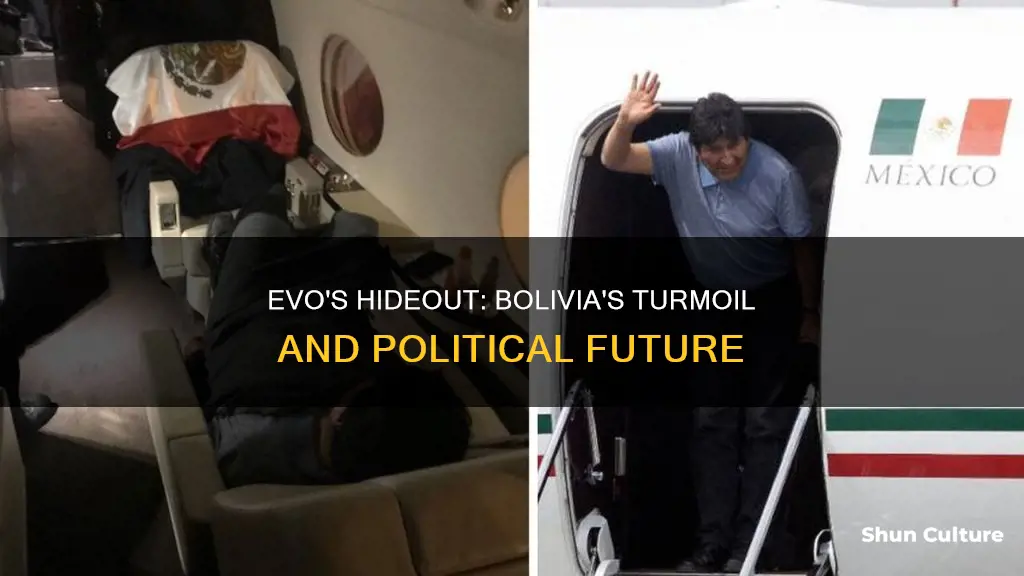 where is evo hiding in the bolivian turnboil