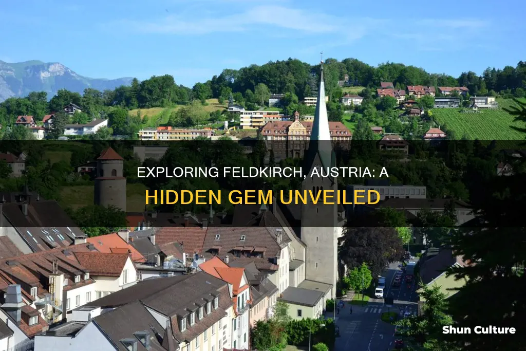 where is feldkirch in austria