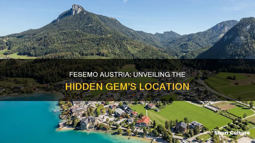 where is fesemo austria