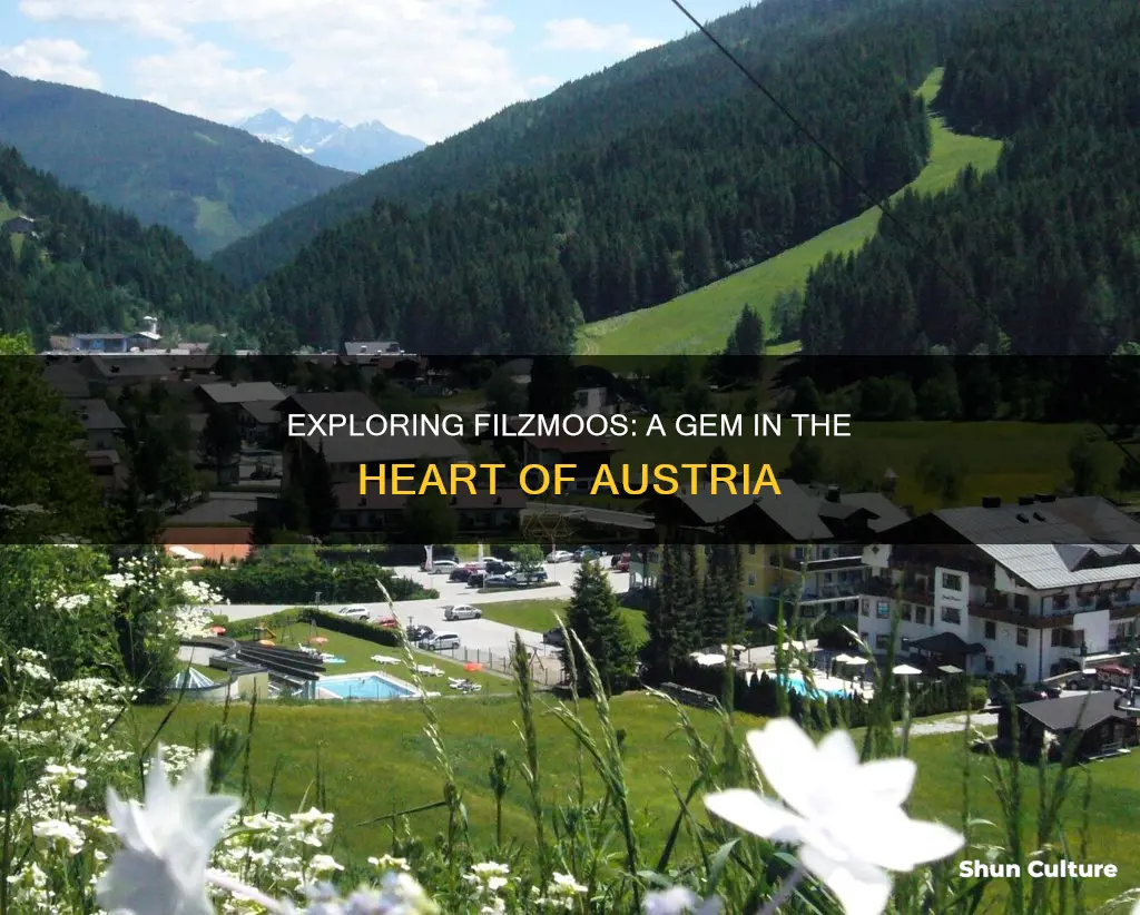 where is filzmoos in austria