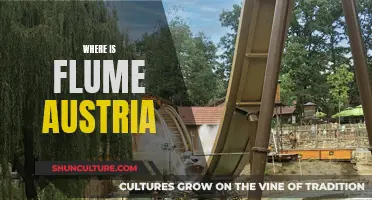 Flume's Austrian Adventure: Unveiling the Mystery