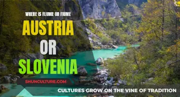 Exploring Flume: Austria or Slovenia?