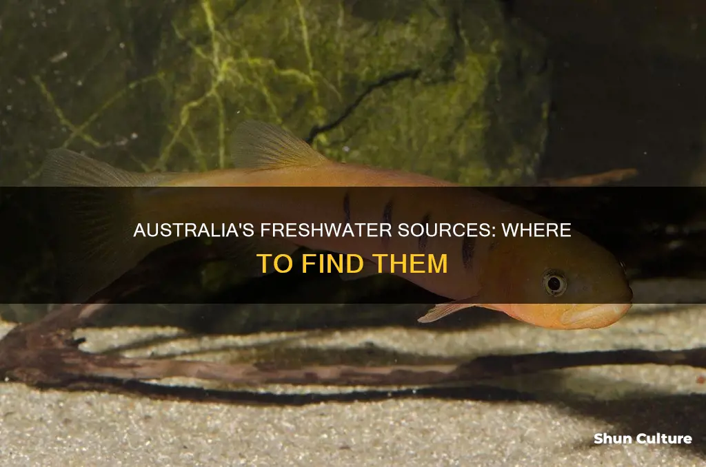 where is freshwater found in australia