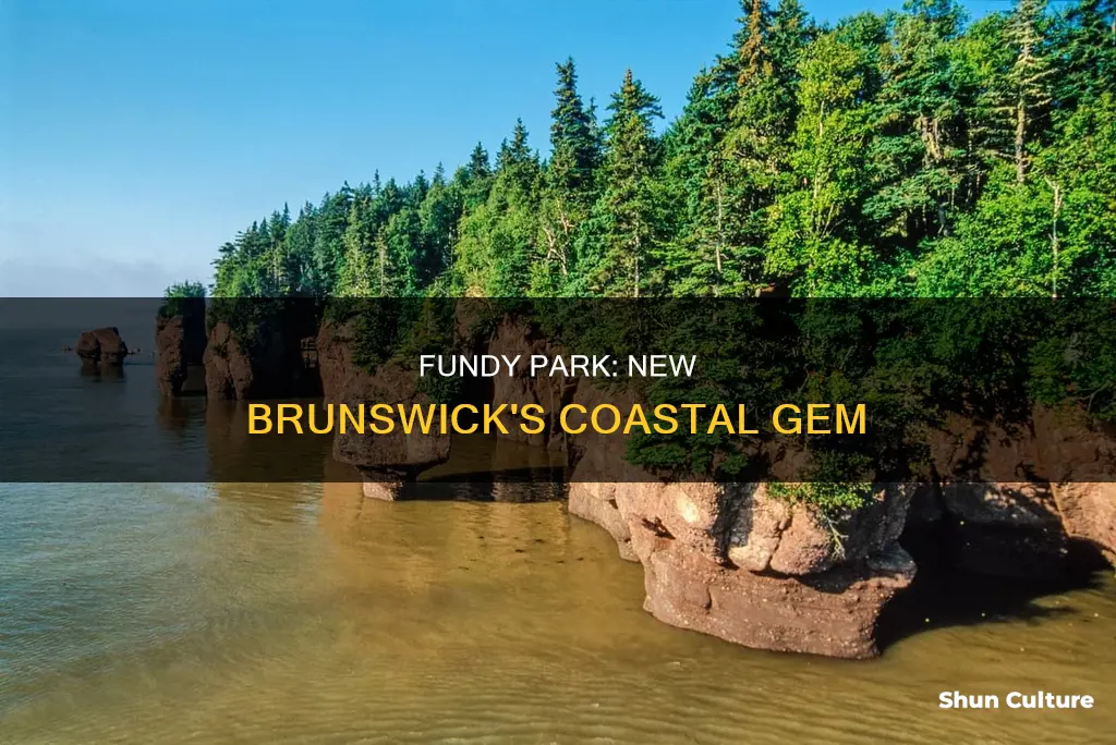 where is fundy park in new brunswick