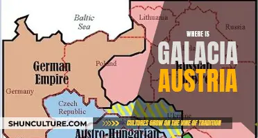 Galacia Austria's Mysterious Disappearance: Unraveling the Enigmatic Trail