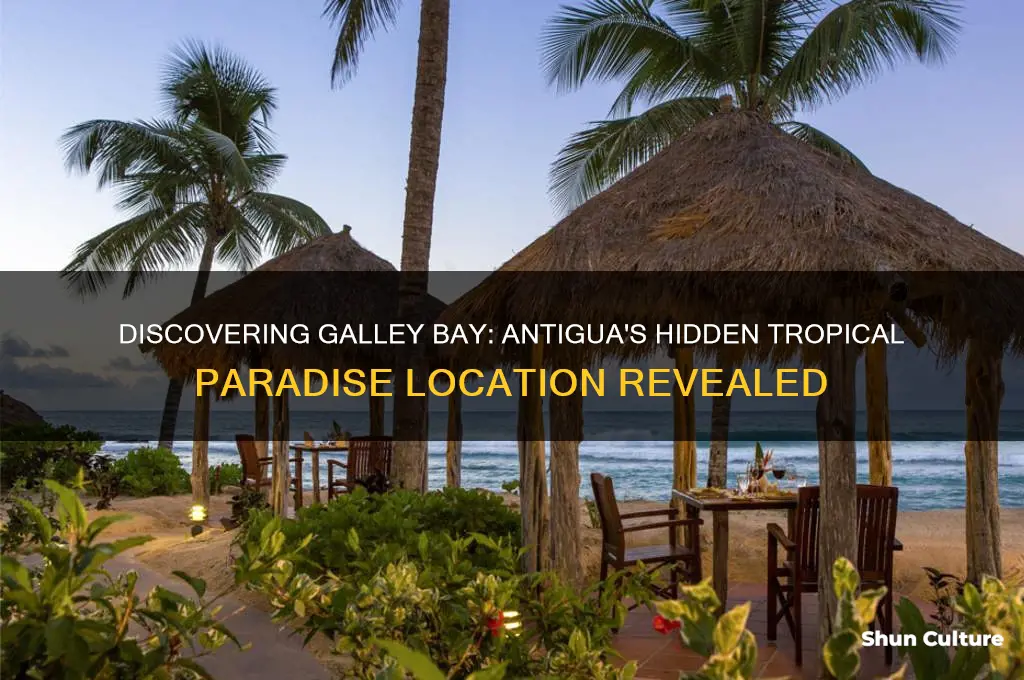 where is galley bay antigua