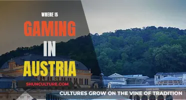 Gaming in Austria: Where Is It Headed?