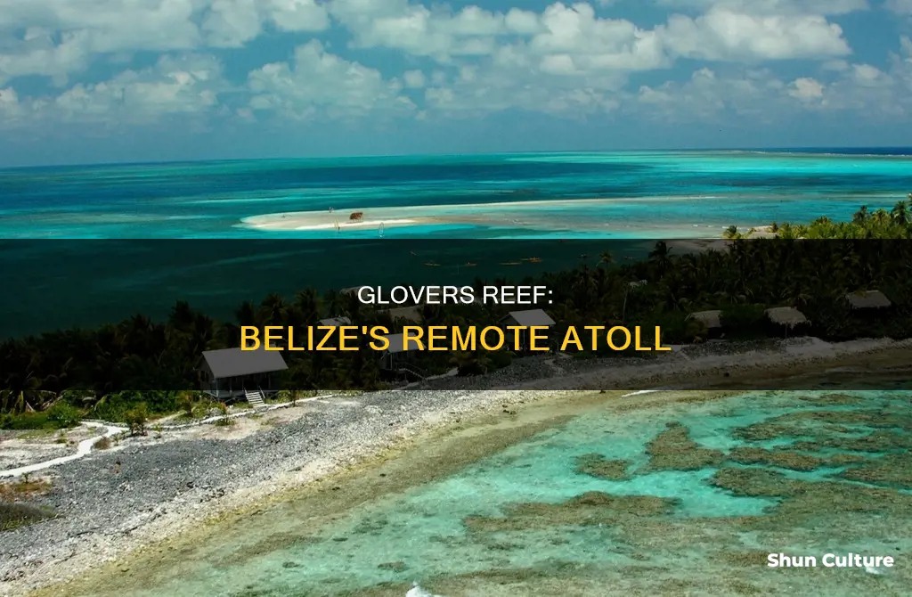 where is glovers reef belize