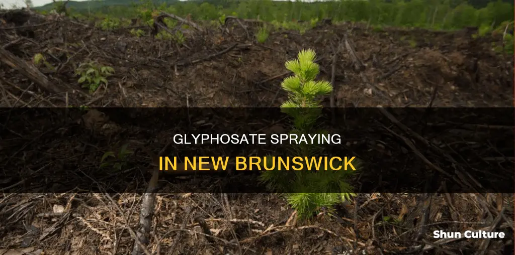 where is glyphosate being sprayed in new brunswick this month