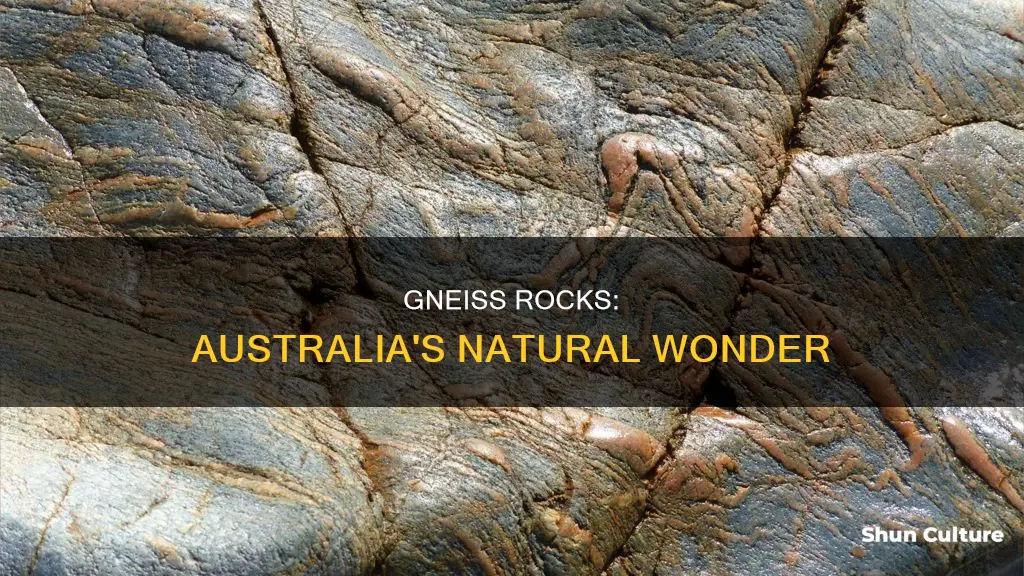 where is gneiss found in australia