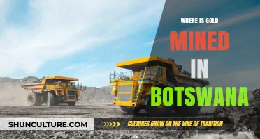 Exploring Botswana's Gold Mining Locations and Operations
