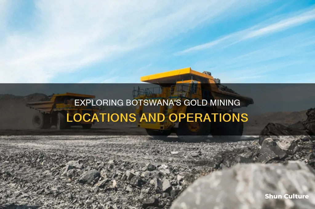 where is gold mined in botswana