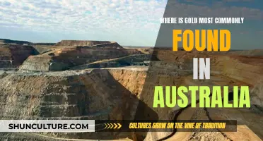 Gold Deposits in Australia: Regions and Geology