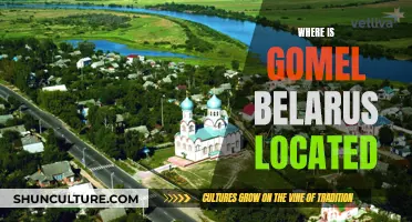 Gomel, Belarus: A City's Strategic Location and Significance