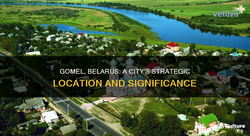 where is gomel belarus located