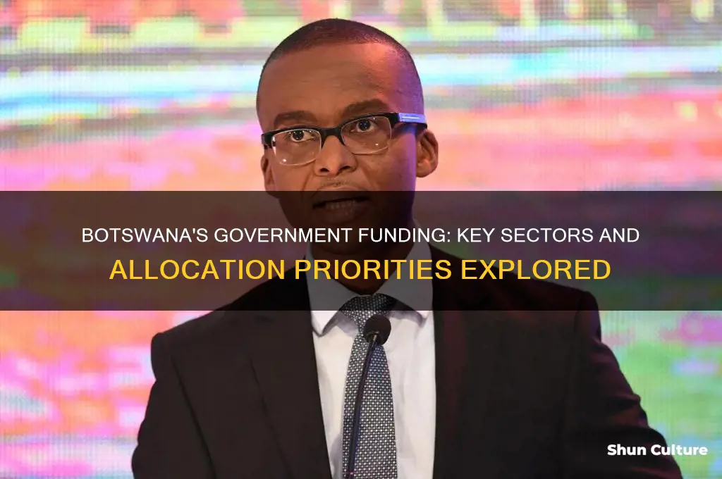 where is governemnt funding going towards in botswana