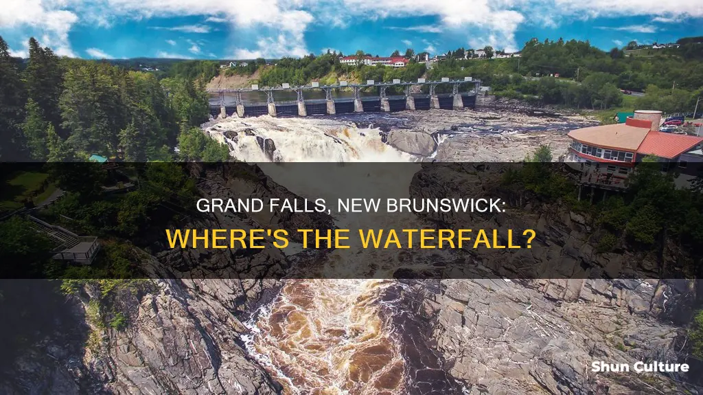 where is grand falls new brunswick