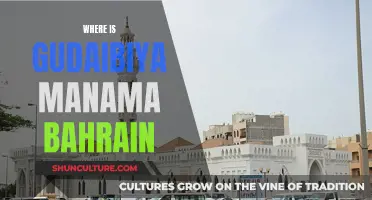 Exploring Gudaibiya in Manama, Bahrain: A Neighborhood Guide