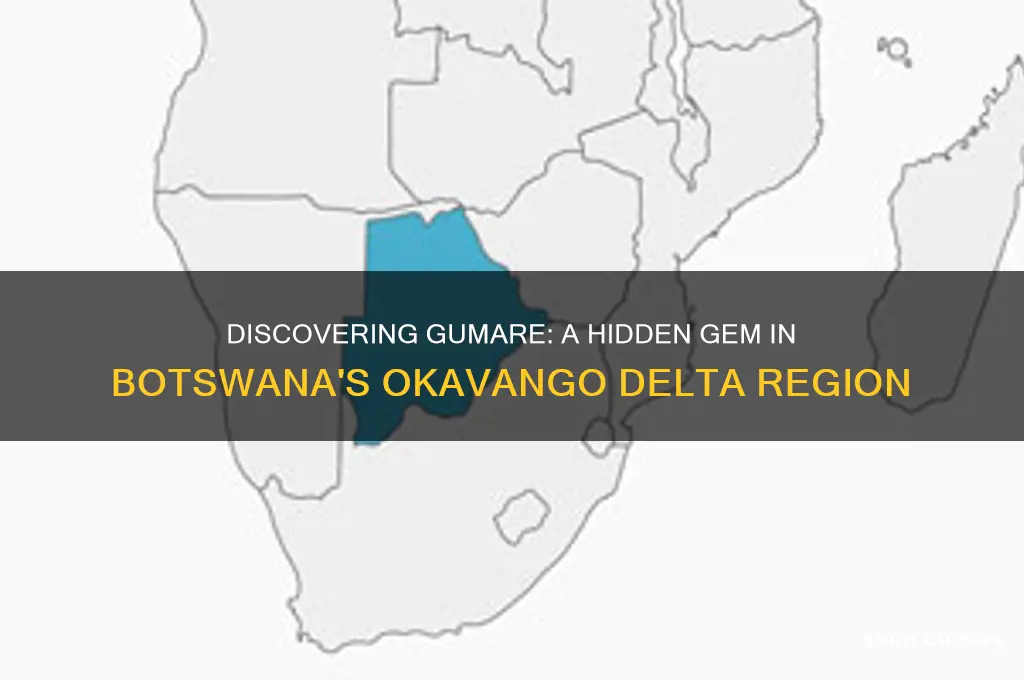 where is gumare botswana located