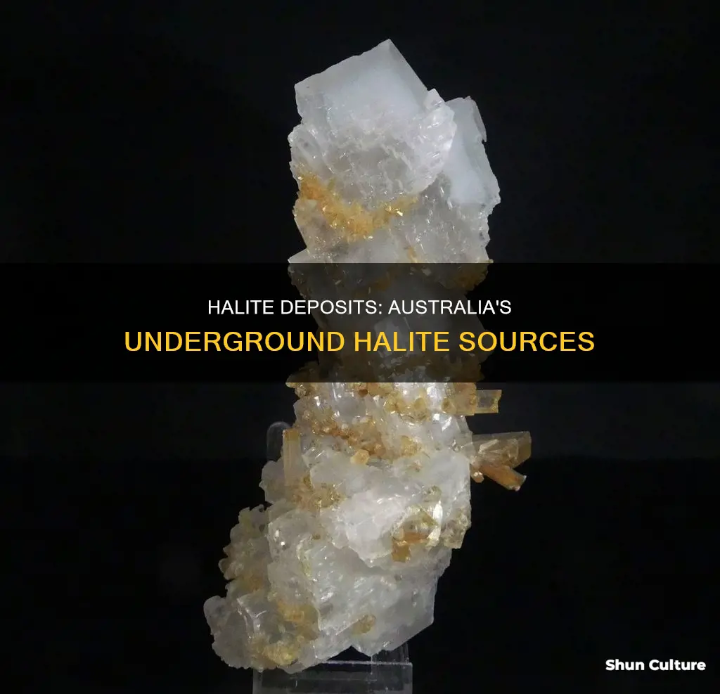 where is halite found in australia