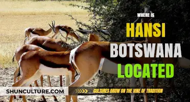 Discovering Hansi Botswana: Location, Map, and Travel Guide