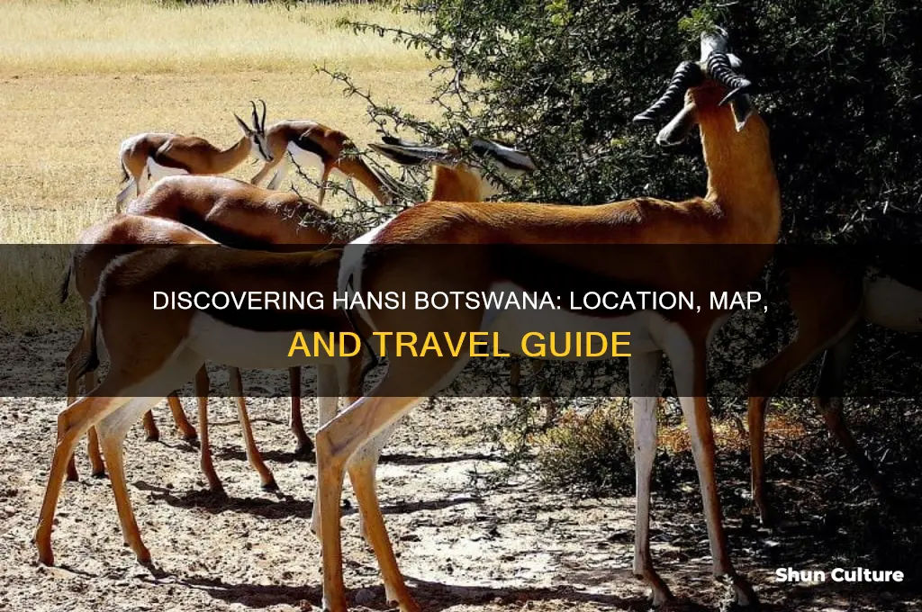 where is hansi botswana located