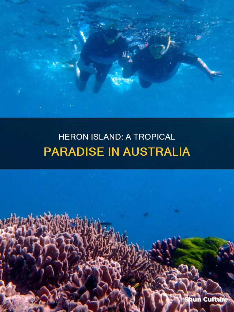 where is heron island australia