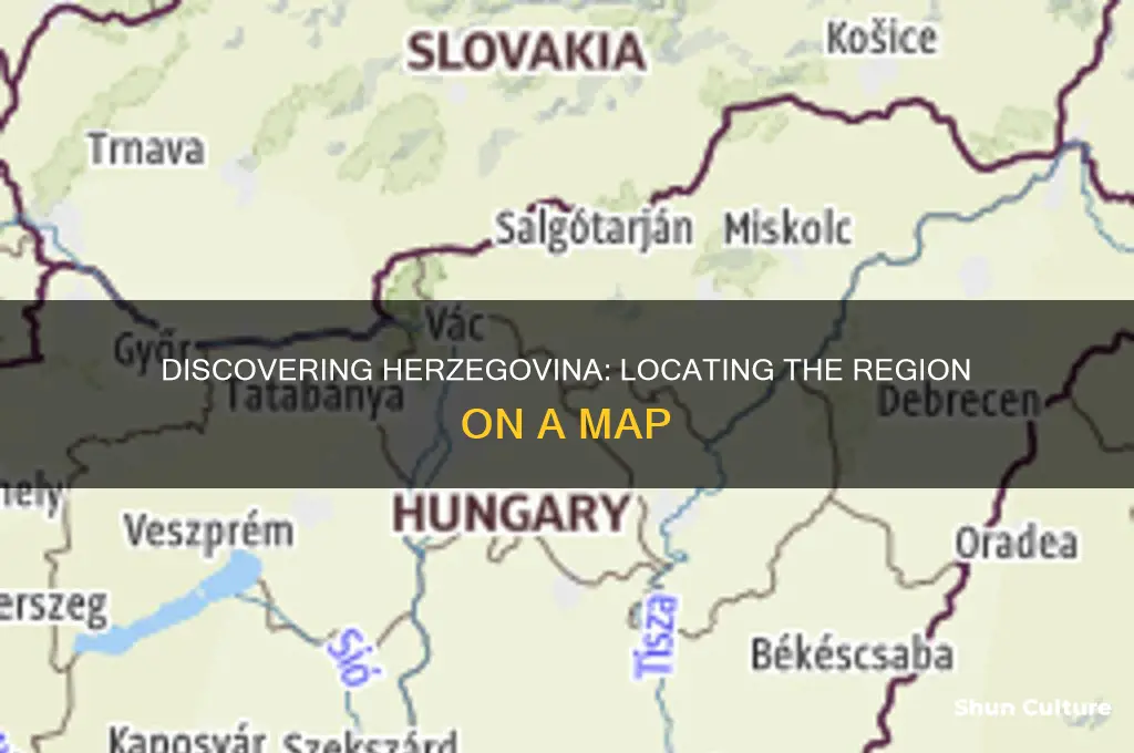 where is herzegovina on a map