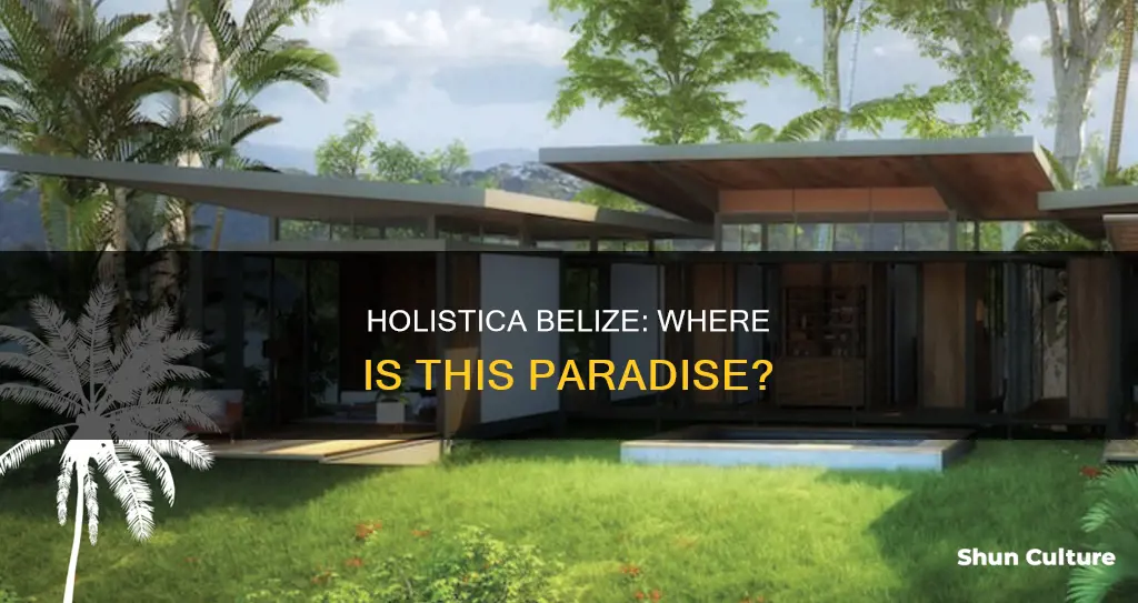 where is holistica belize located